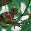 Pine Marten