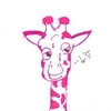 Pink Giraffe