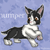 Thumper