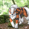 Arcanine in the forest