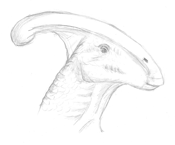 Parasauralophus