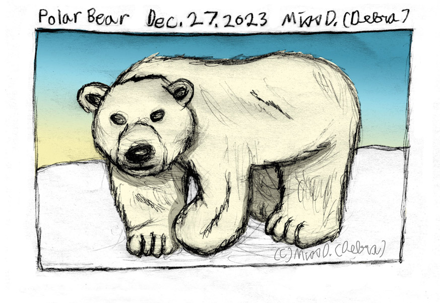 Polar Bear - December 27th Drawing challenge