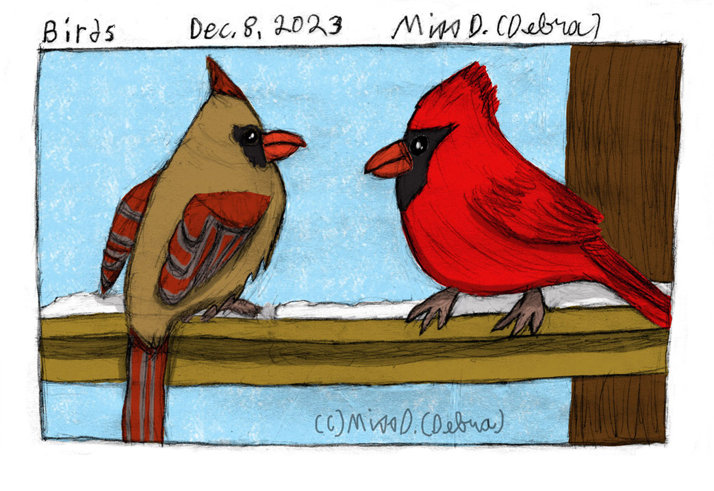 Birds - December 8th Drawing challenge