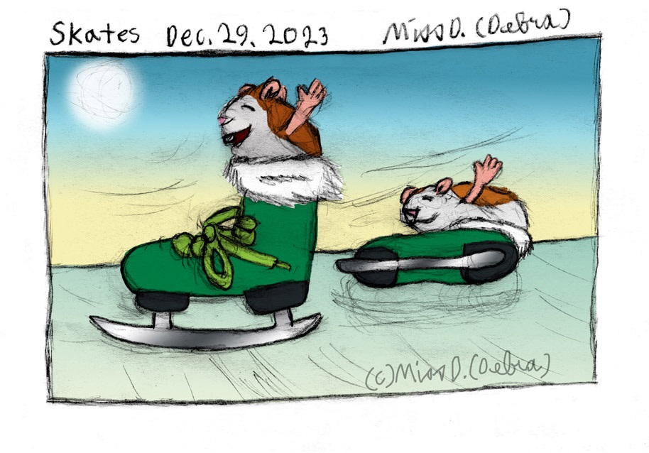 Skates - December 29th Drawing challenge