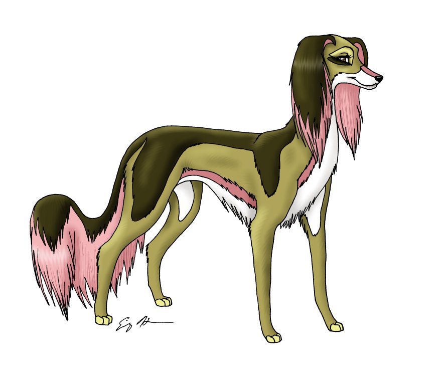 Pink and Brown Saluki