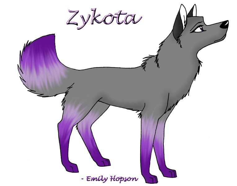 Zykota