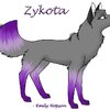 Zykota