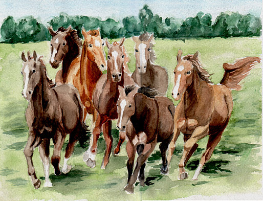 Running Horses