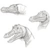 raptor heads