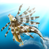 Lionfish