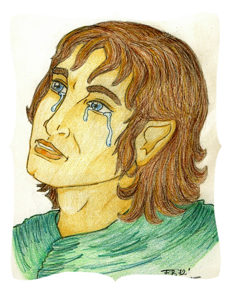 Frodo's Tears 2