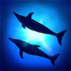 Dolphins