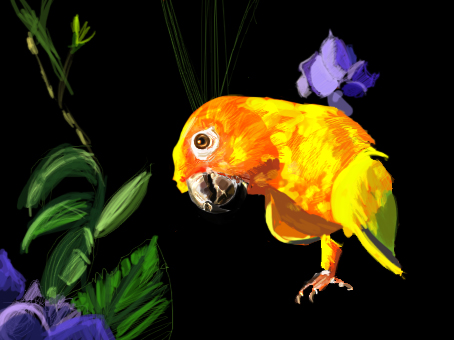 Parrot Project i - orange