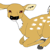 deery