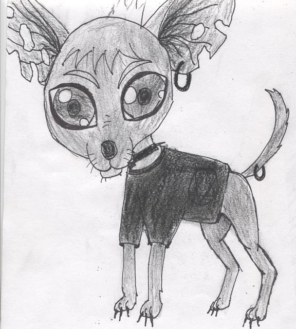 GOTH CHIWAWA