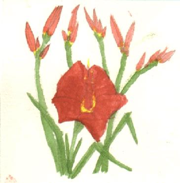 Flower