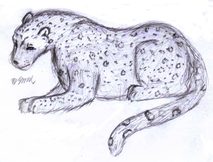 Snow Leopard