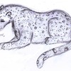 Snow Leopard