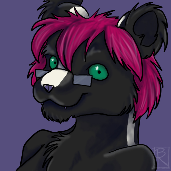 Commission: Cadence Skunk Portrait