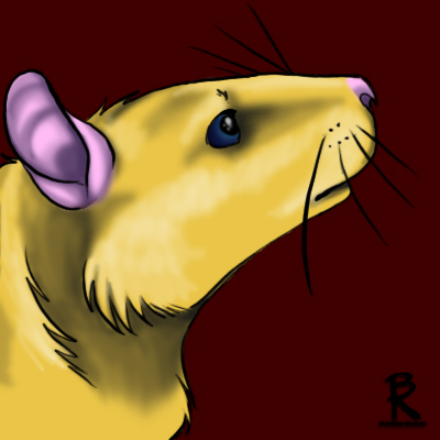 Rattus Icon