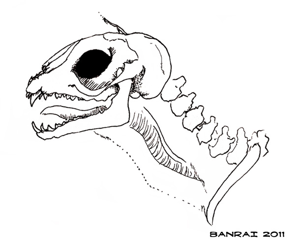 [Astian] Anatomy of a Saule : Lateral View