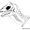 [Astian] Anatomy of a Saule : Lateral View