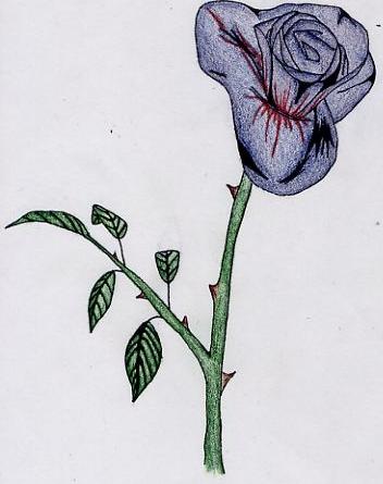 Blue Rose