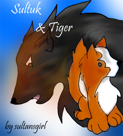 Sultuk & Tiger