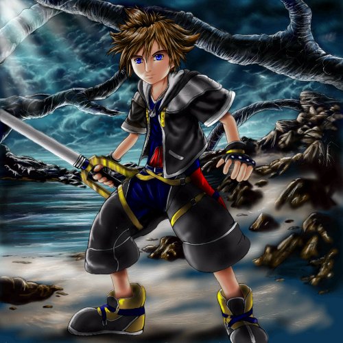 Sora from KH2 oekaki