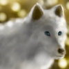 White wolf