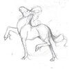 horse sketch