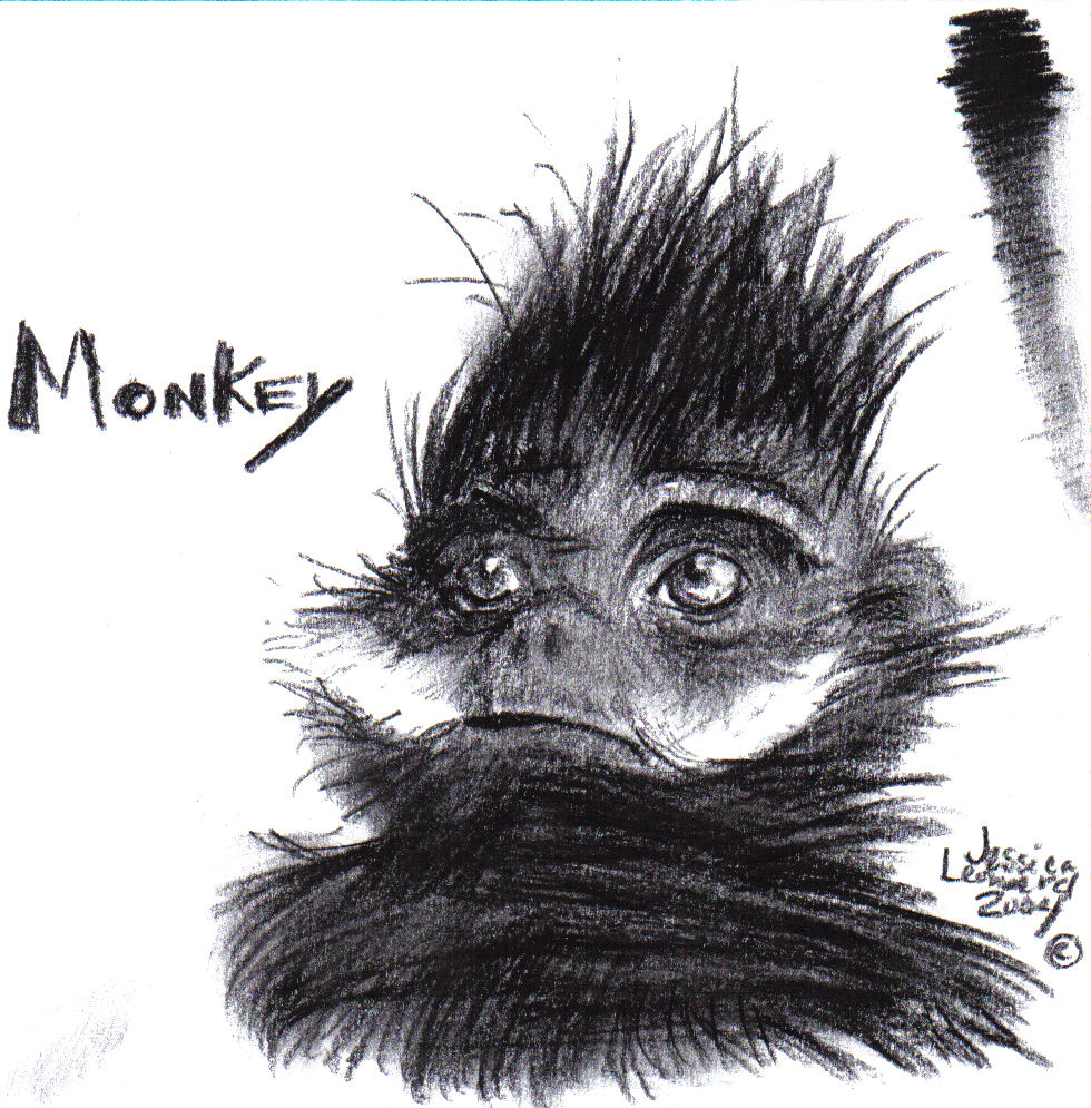 MONKEY