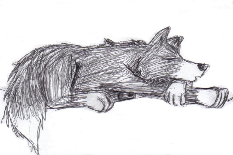 Sleepy Wolf