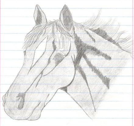 Horse 3