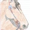 Horse 2