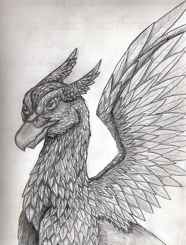 Gryphon