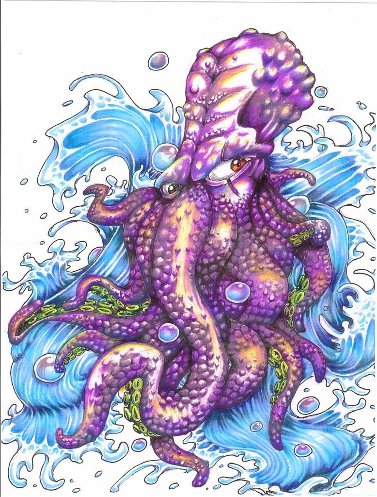 octopus