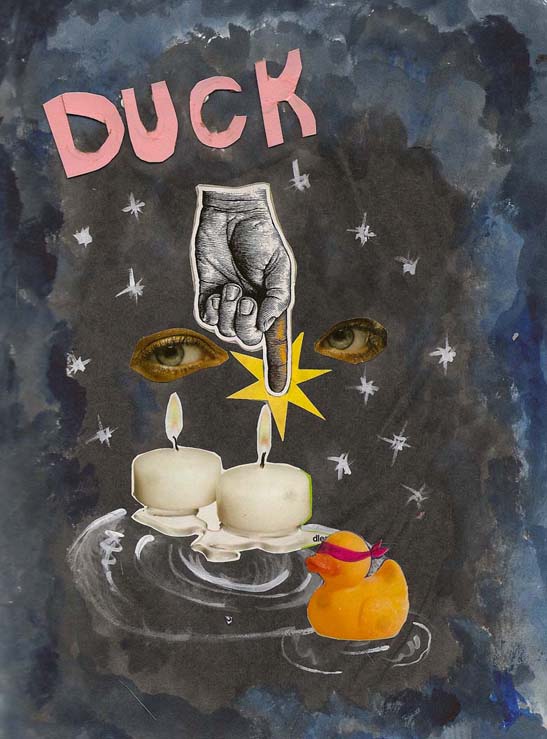 Duck