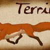 Terrius Badge