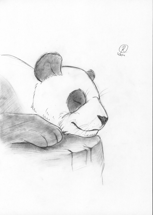 Lazy Panda