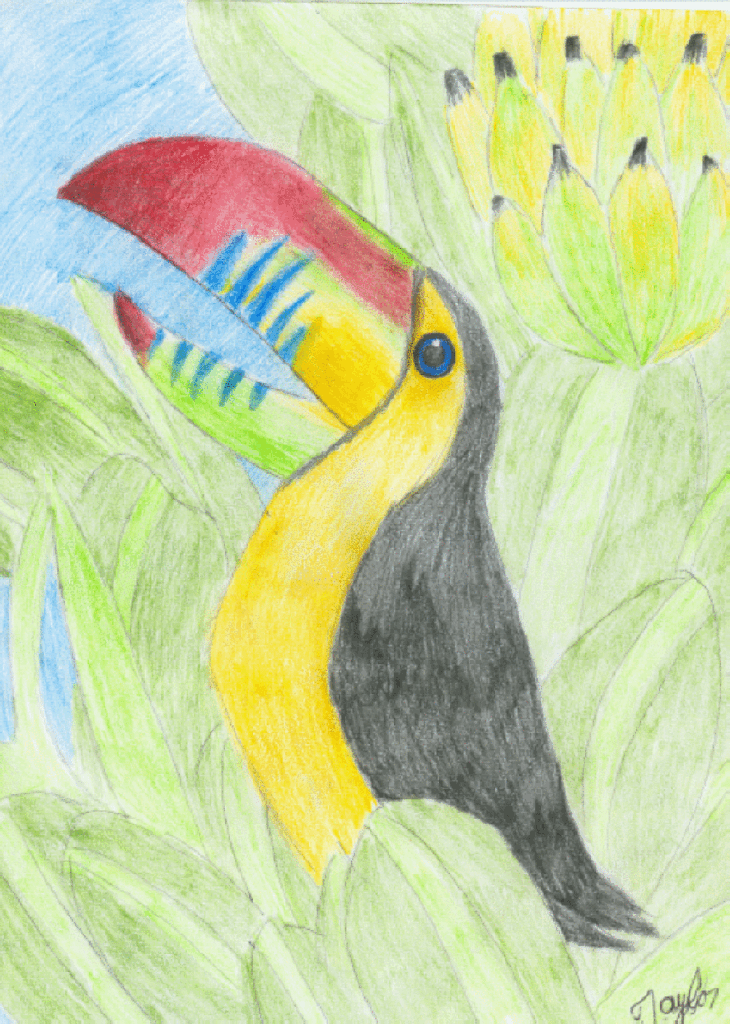 Tropical Toucan