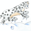 Snow Leopard