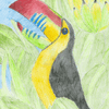 Tropical Toucan