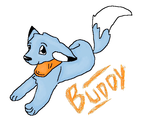 Buddy!