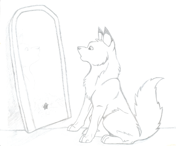 Mirror Wolf