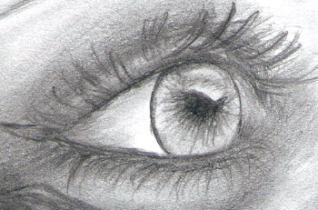 Eye