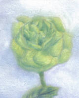 Green Rose