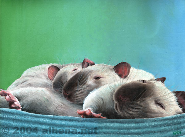 Rat Trio