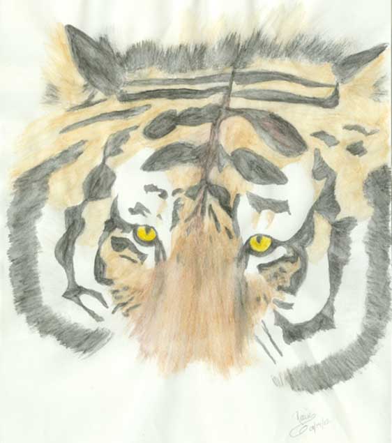 Watercolor Tiger