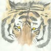 Watercolor Tiger